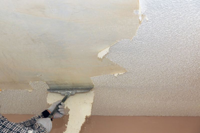 Stipple Ceiling Removal Cost — Cost of Stipple Ceiling Removal
