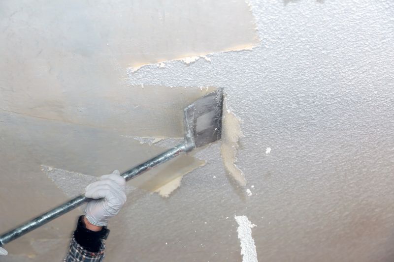 Stipple Ceiling Removal