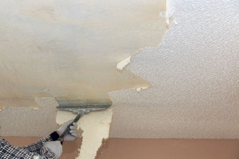 Specialized Ceiling Removal Teams